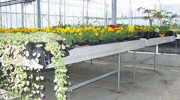 Fixed benches for professional greenhouse