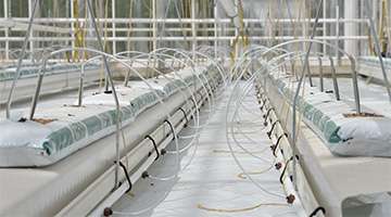 greenhouse drip irrigation system