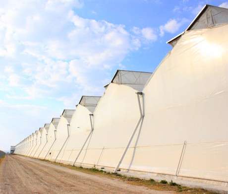 richel-biggest-greenhouses