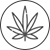 Producción de cannabis medicinal en invernadero