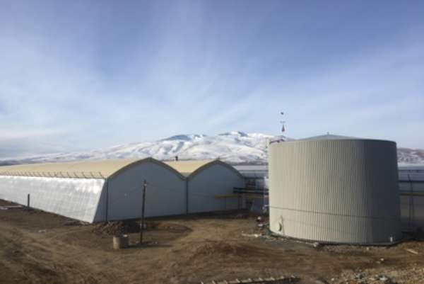 High-tech rose greenhouse Rosefield completed in Armenia